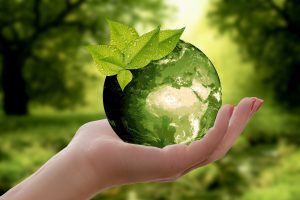 Zrównoważone zakupy CSR Sustainability in Procurement Corporate Social Responsibility