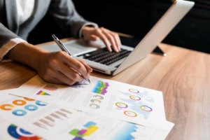 What is a company audit?